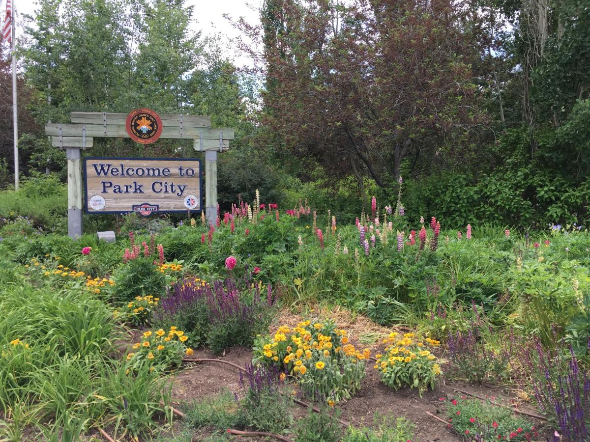 Popular attractions Area Nearby Property